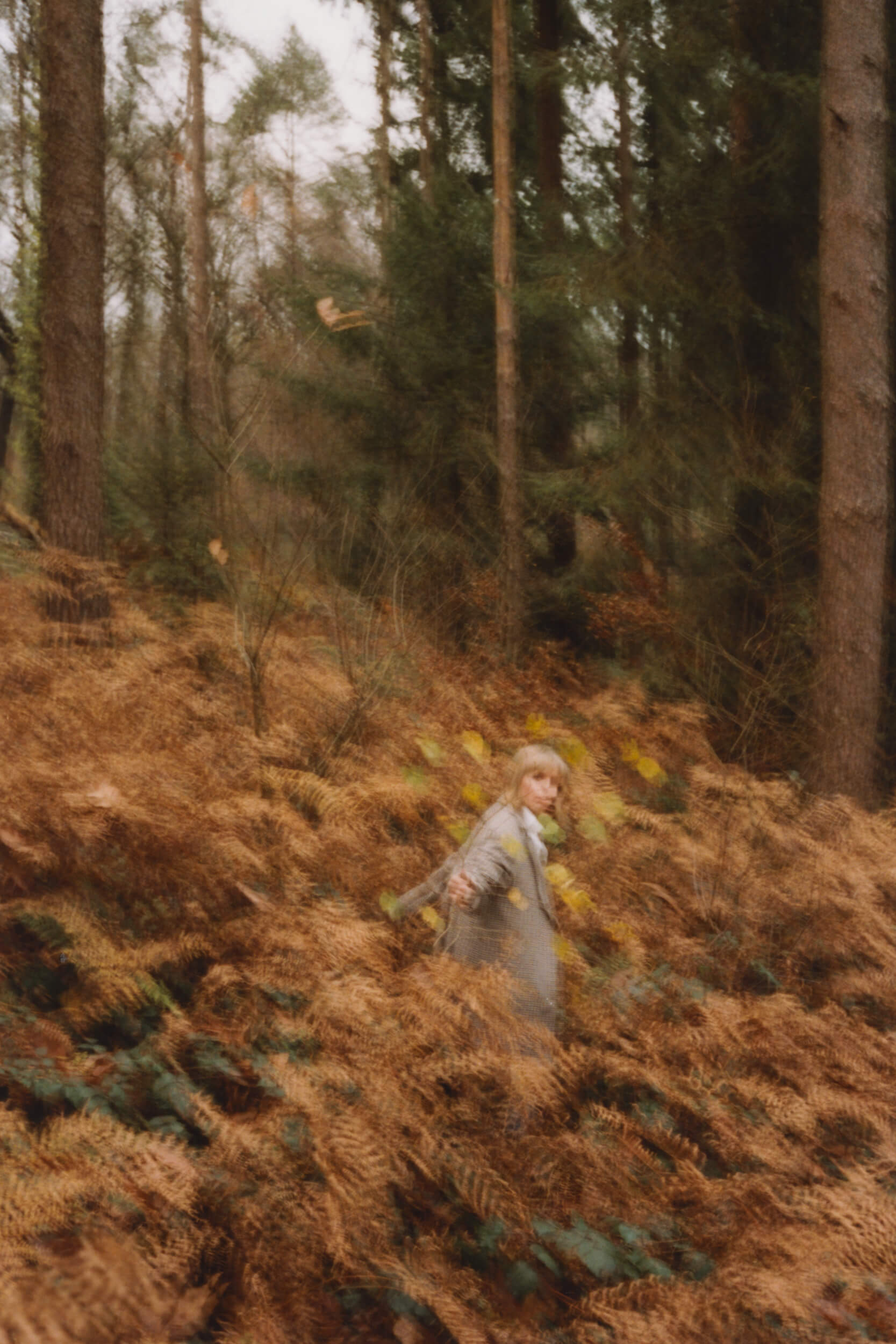 Original contemporary artwork by British artist Lucy Auge, based in Somerset, using sumi ink on British-made paper to depict observed moments in nature through a process-led practice rooted in heritage craft.