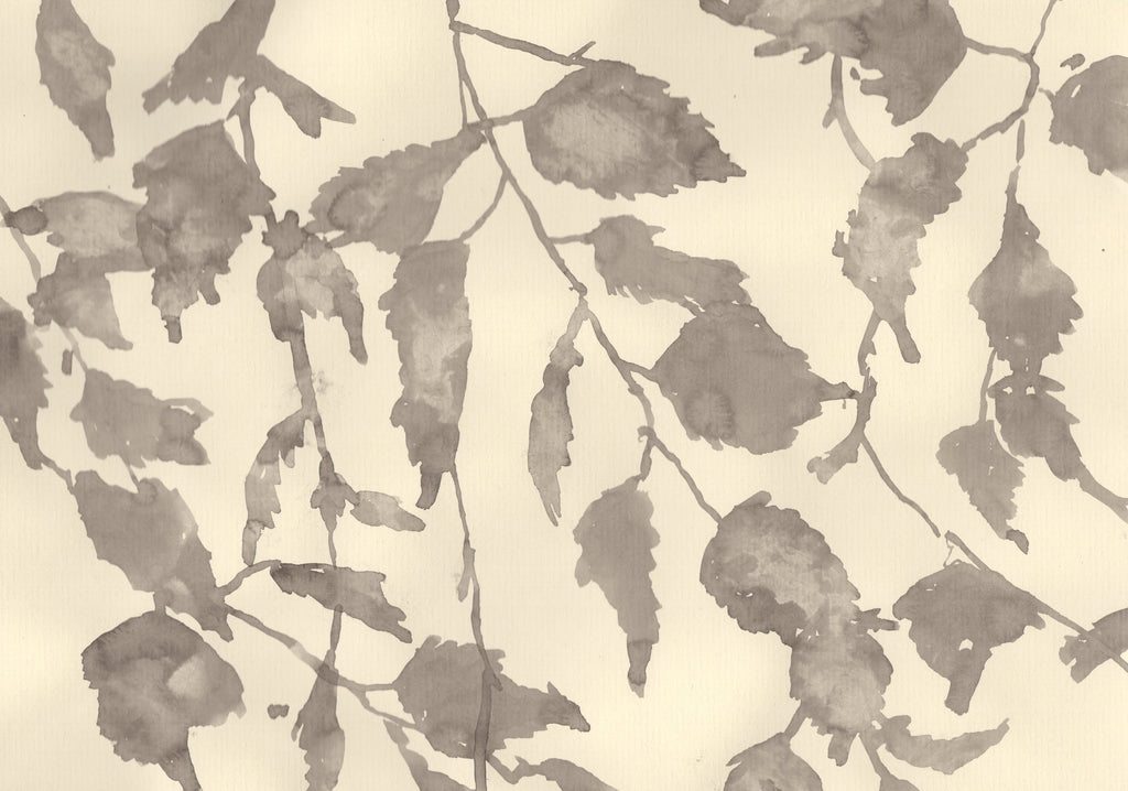 BIRCH AT THE OLD STUDIO IN JULY