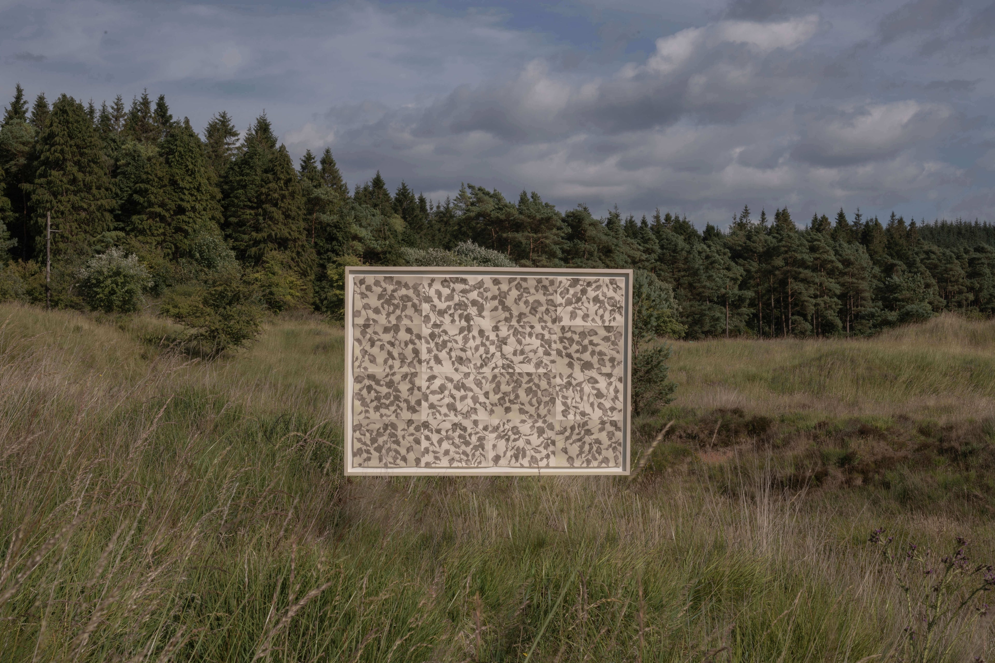 Contemporary nature artwork by Lucy Auge exploring time, material and observation through restrained composition