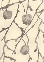 LONDON PLANE TREES OUTSIDE THE BRITISH MUSEUM
