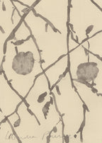 LONDON PLANE TREES OUTSIDE THE BRITISH MUSEUM