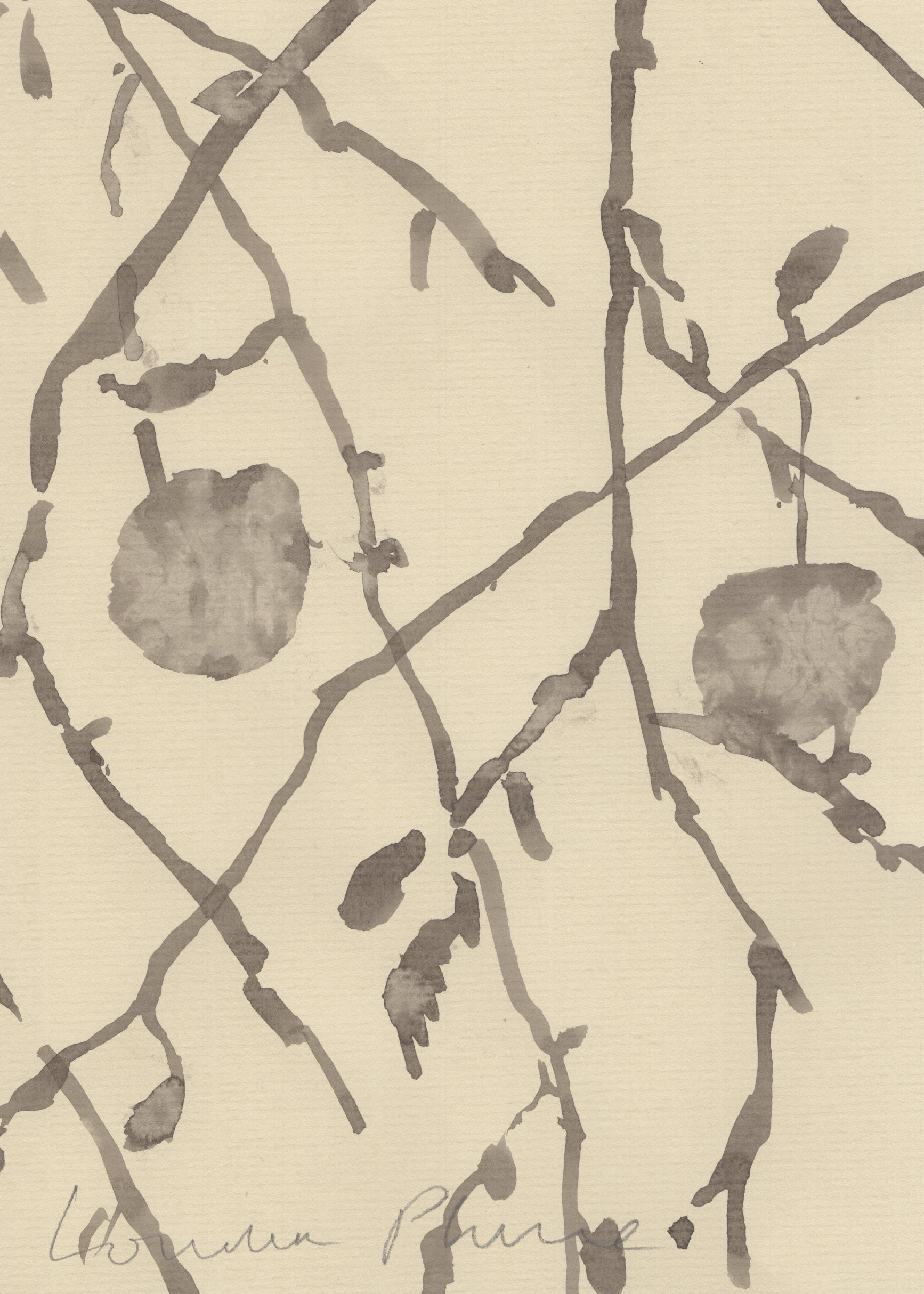 LONDON PLANE TREES OUTSIDE THE BRITISH MUSEUM