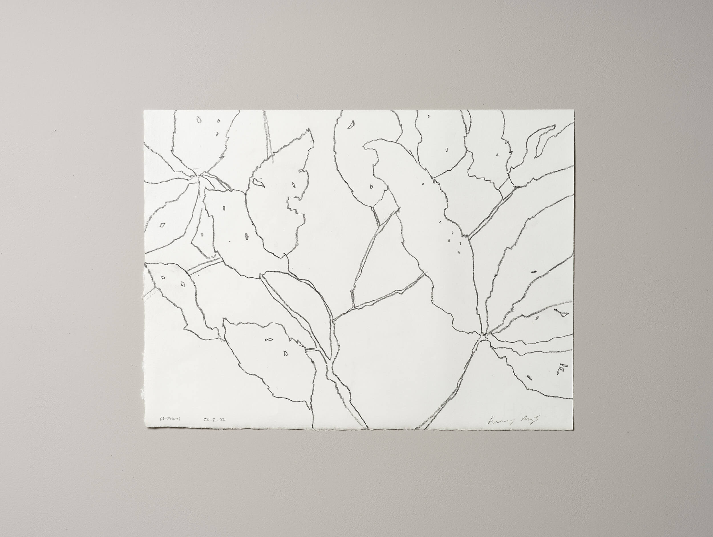 Contemporary Fine Art graphite artwork by Lucy Auge inspired by seasonal landscape observation