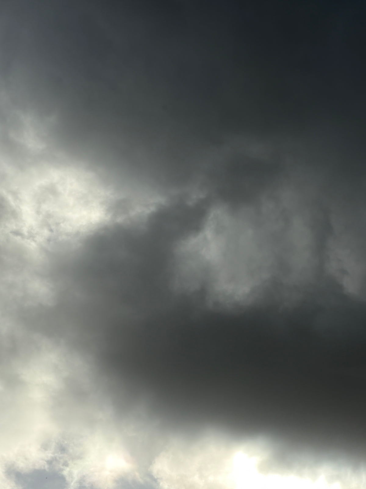 Late October Wind and Rain