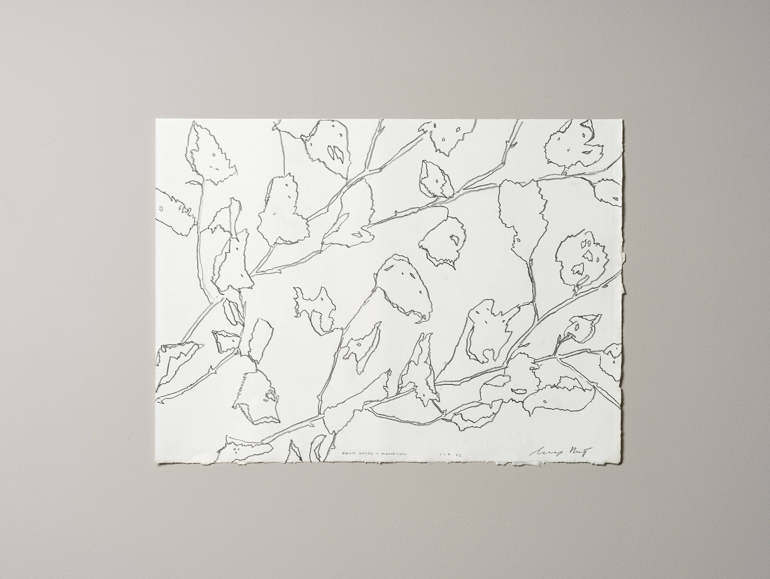 Contemporary Fine Art graphite artwork by Lucy Auge inspired by seasonal landscape observation