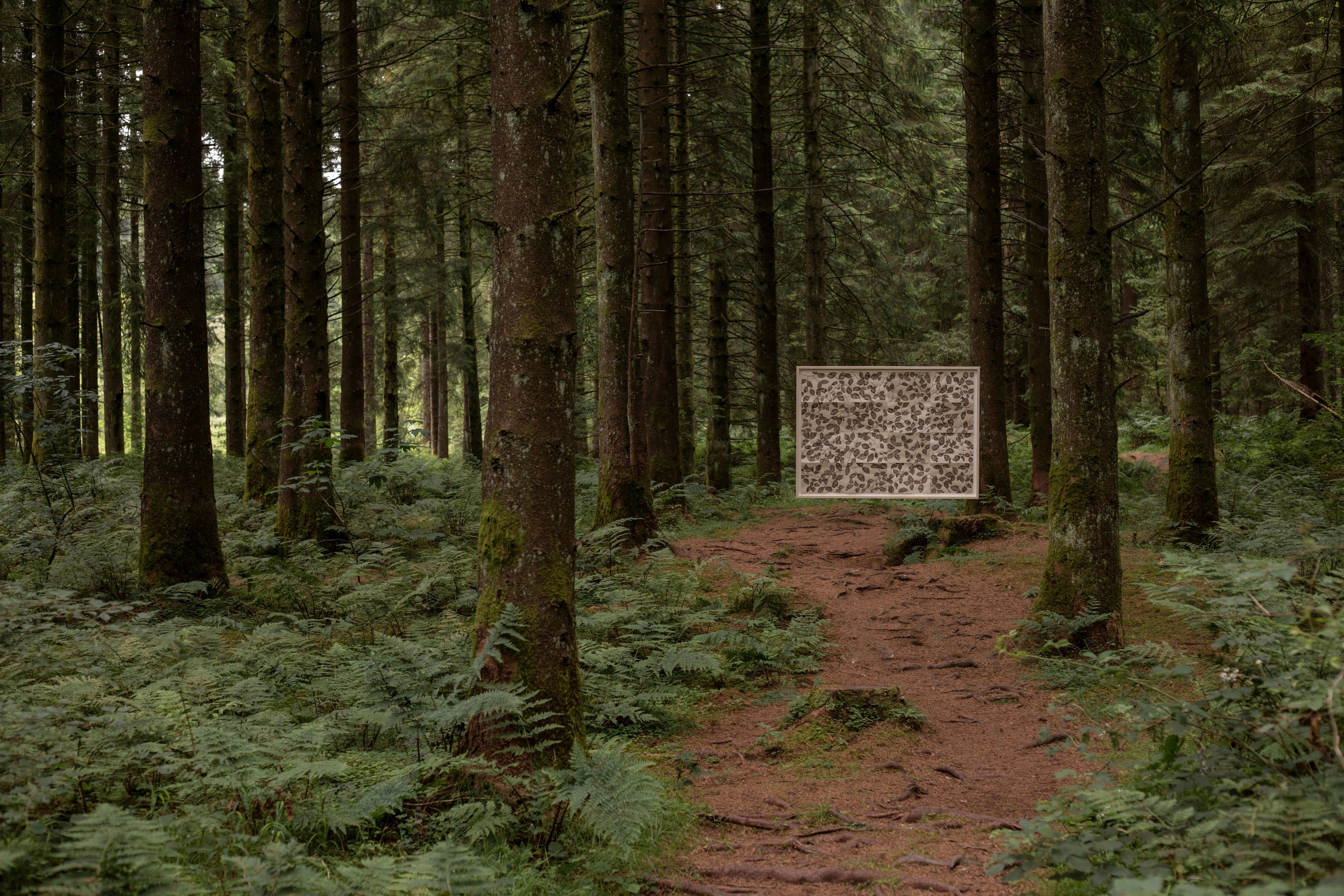 Lucy Auge contemporary British nature artist capturing fleeting moments in nature through minimal abstract painting