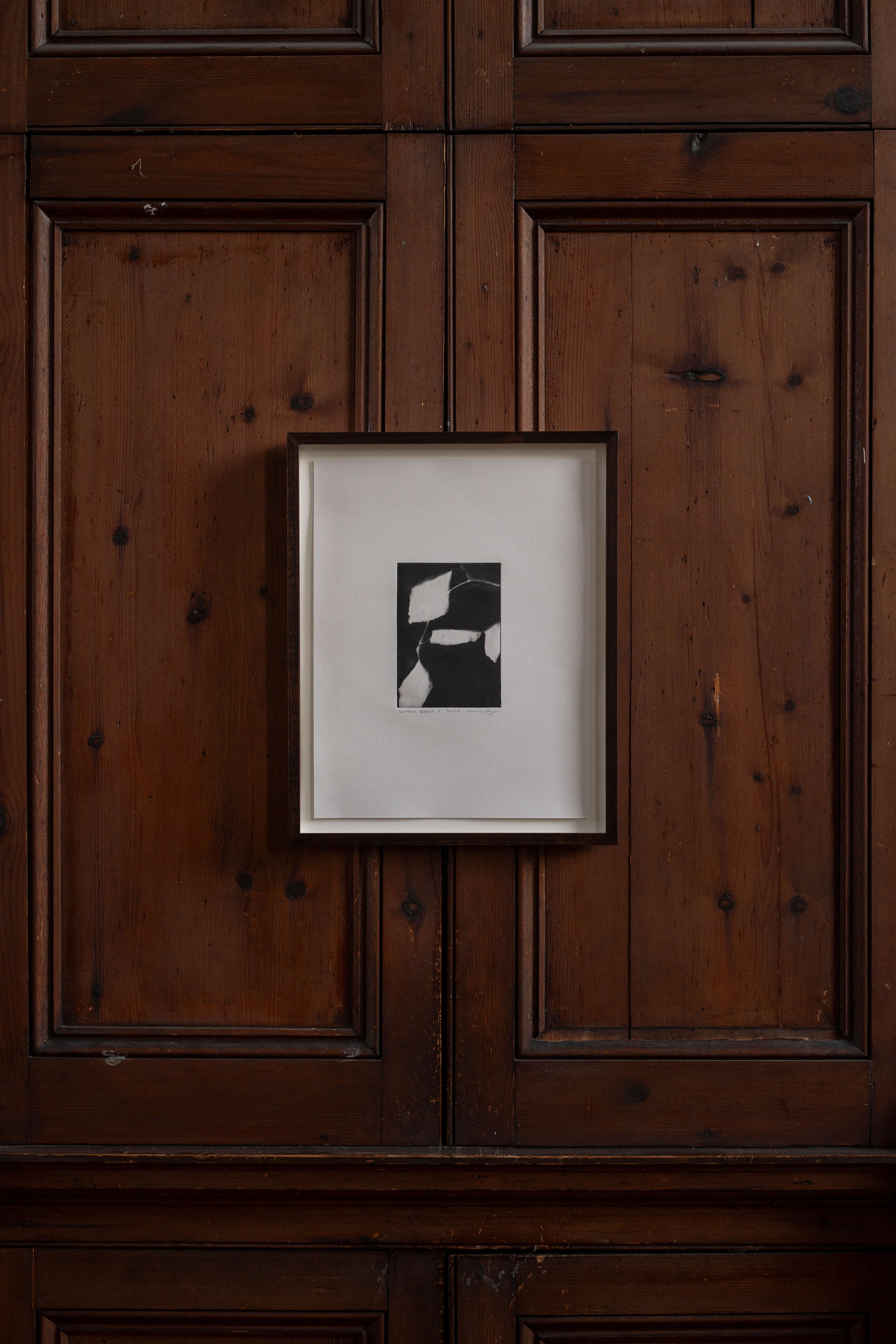 Contemporary botanical etching by UK artist Lucy Auge, inspired by Dan Pearson’s garden