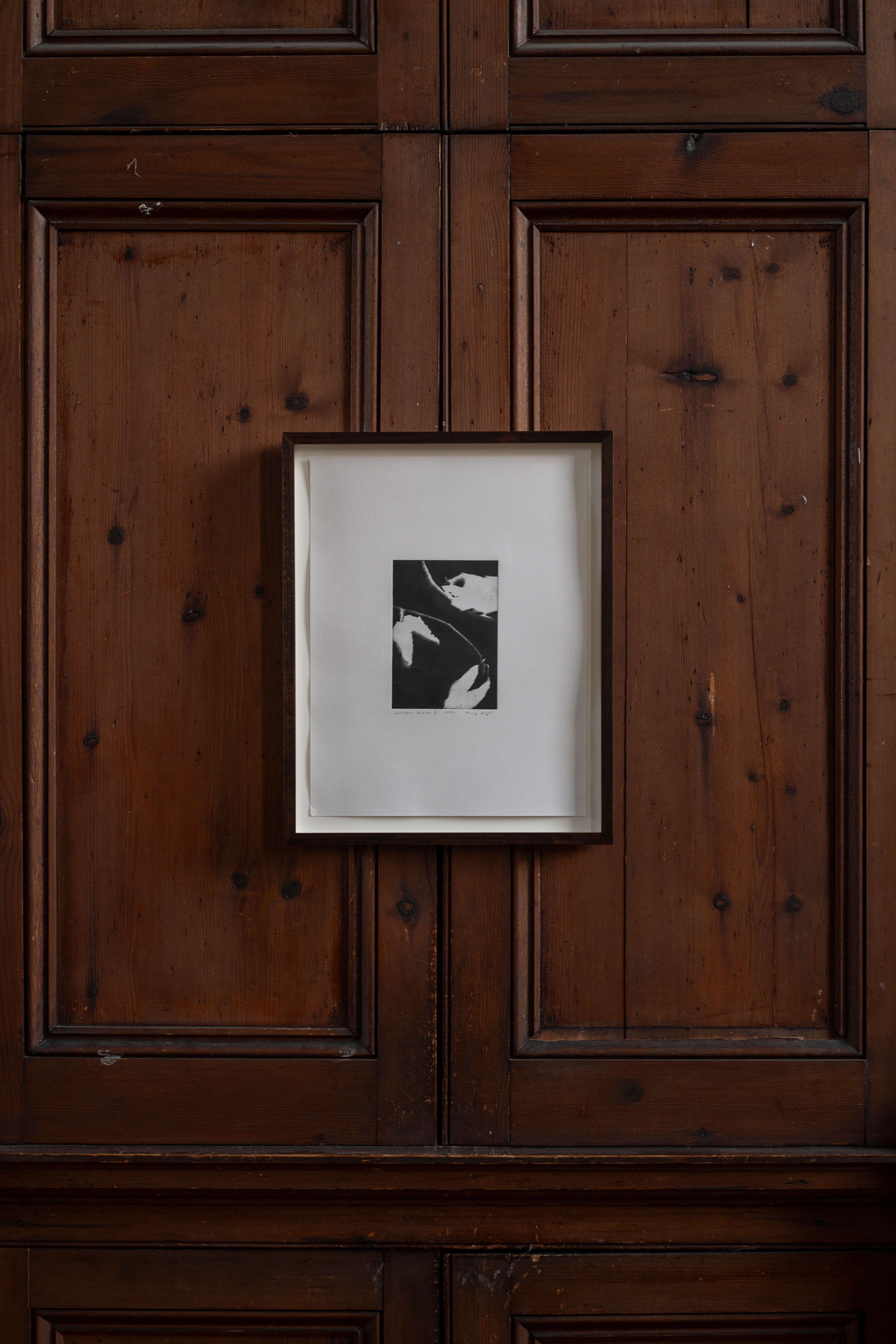 Contemporary botanical etching by UK artist Lucy Auge, inspired by Dan Pearson’s garden