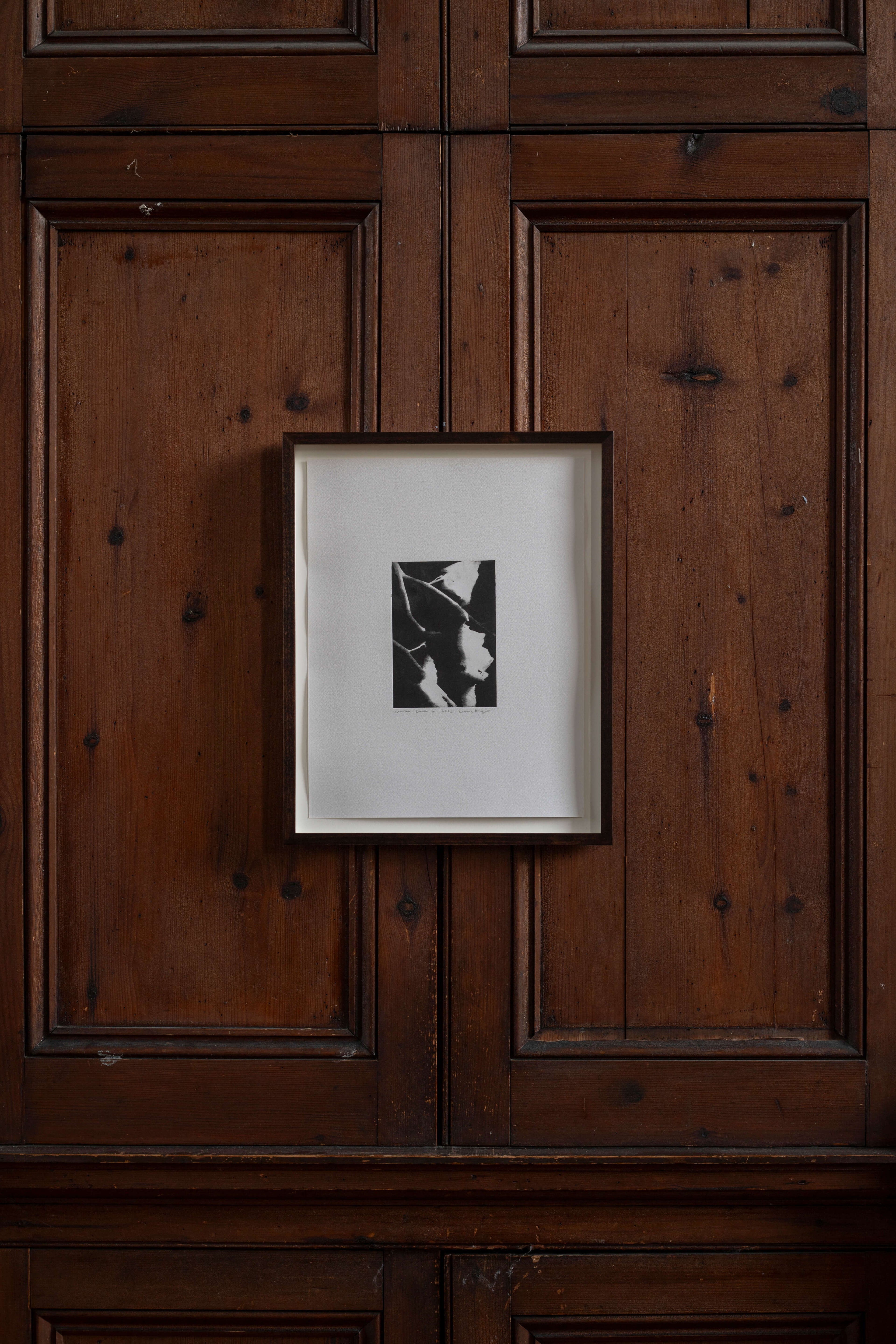 Contemporary botanical etching by UK artist Lucy Auge, inspired by Dan Pearson’s garden