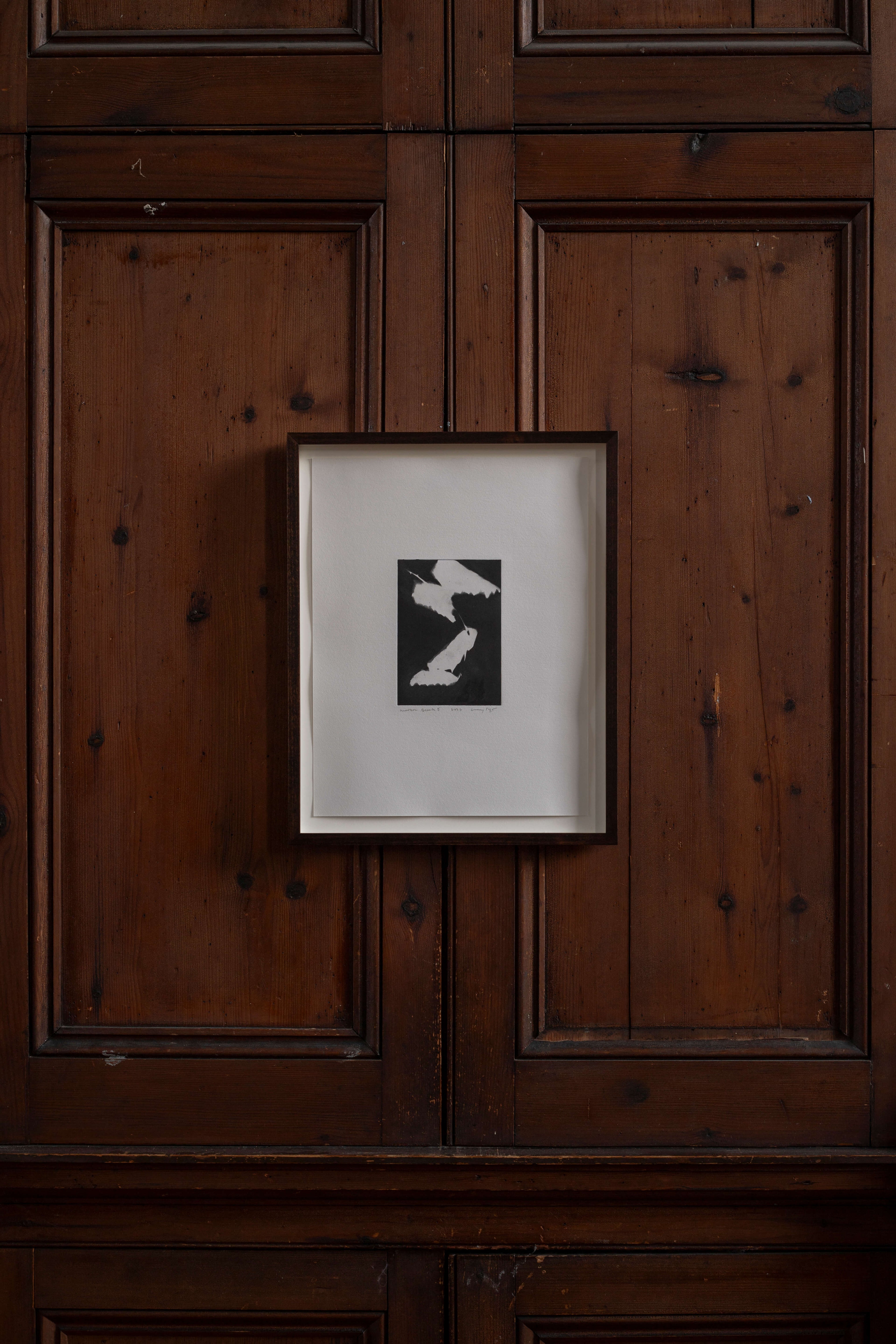 Contemporary botanical etching by UK artist Lucy Auge, inspired by Dan Pearson’s garden