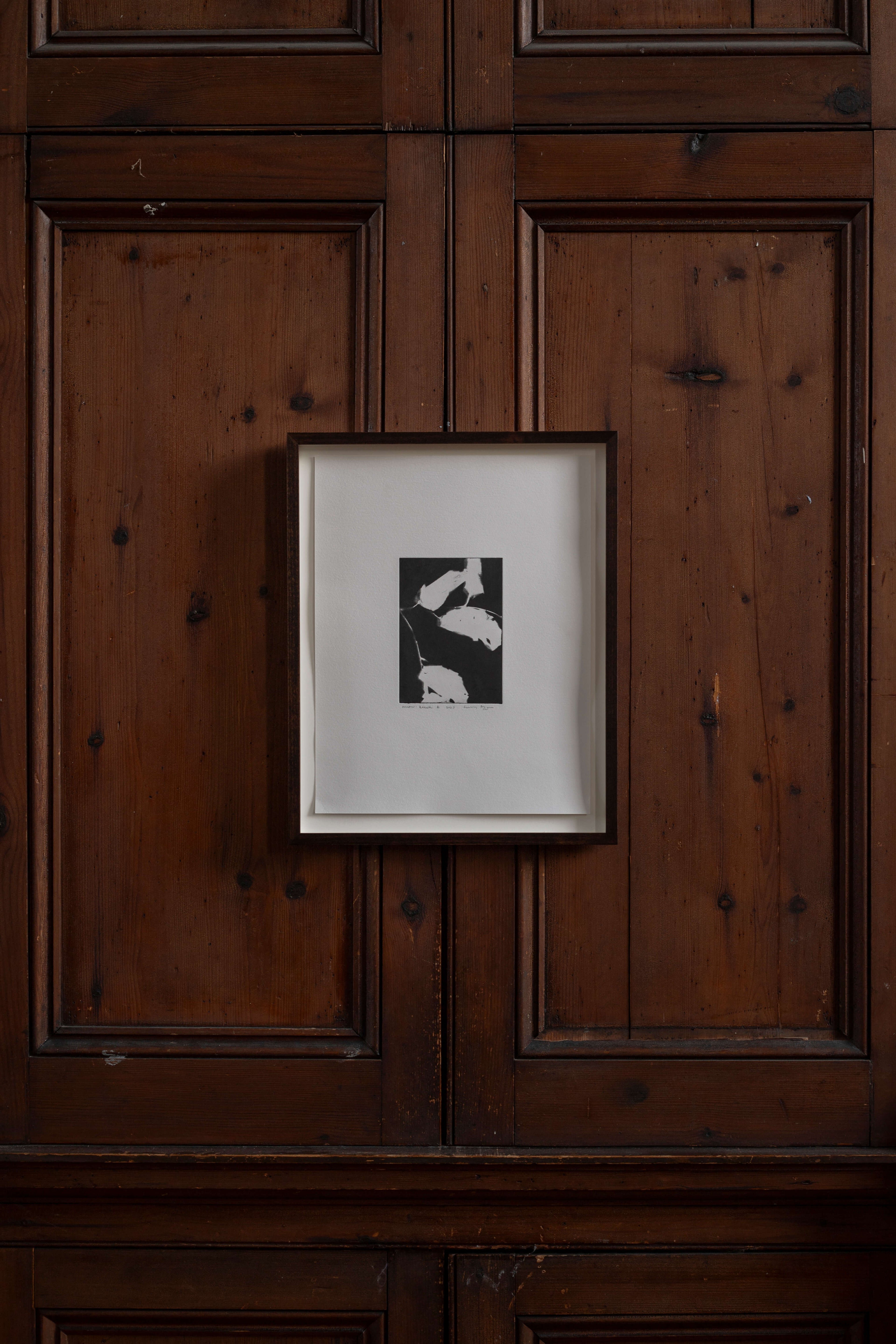 Contemporary botanical etching by UK artist Lucy Auge, inspired by Dan Pearson’s garden