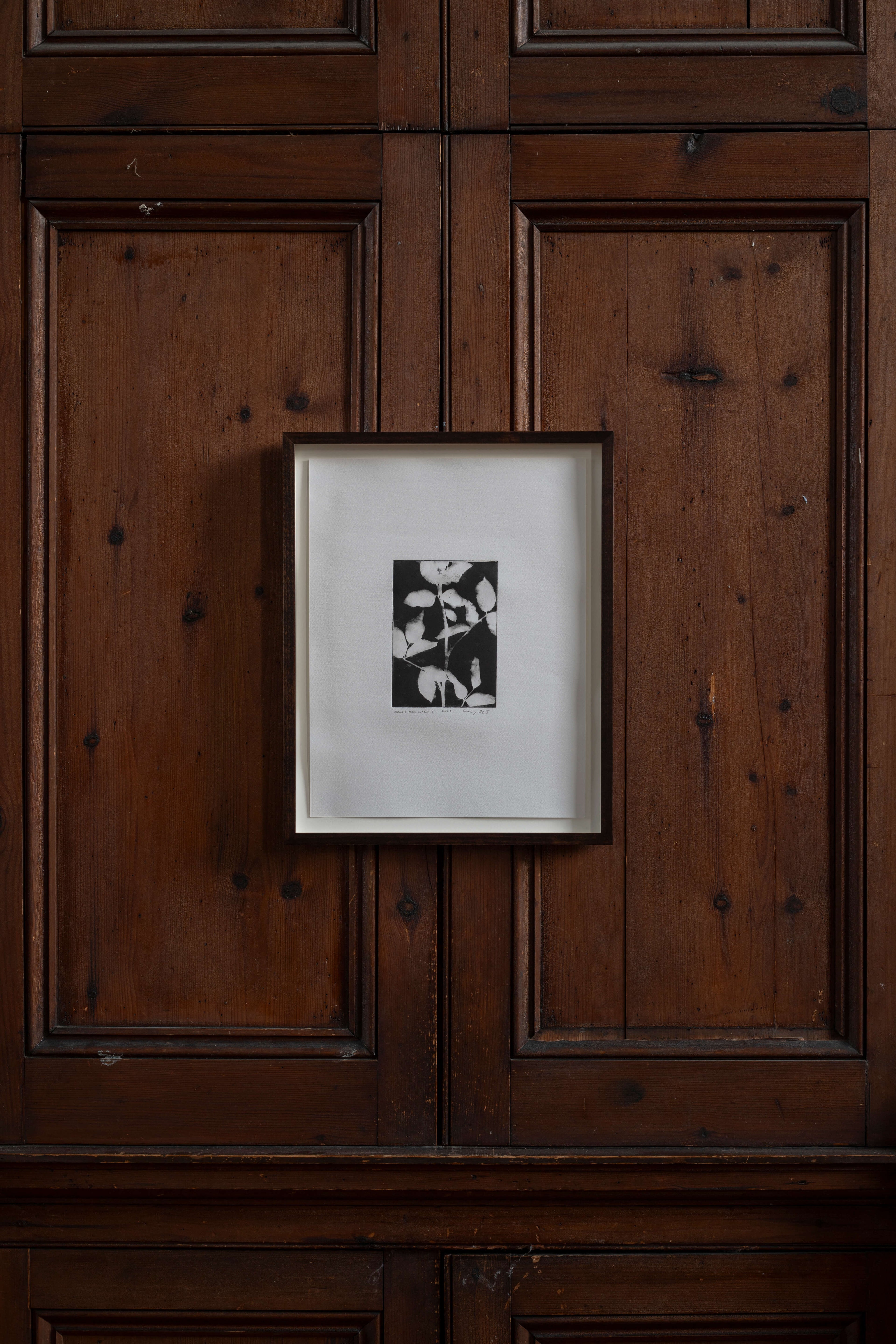 Contemporary botanical etching by UK artist Lucy Auge, inspired by Dan Pearson’s garden