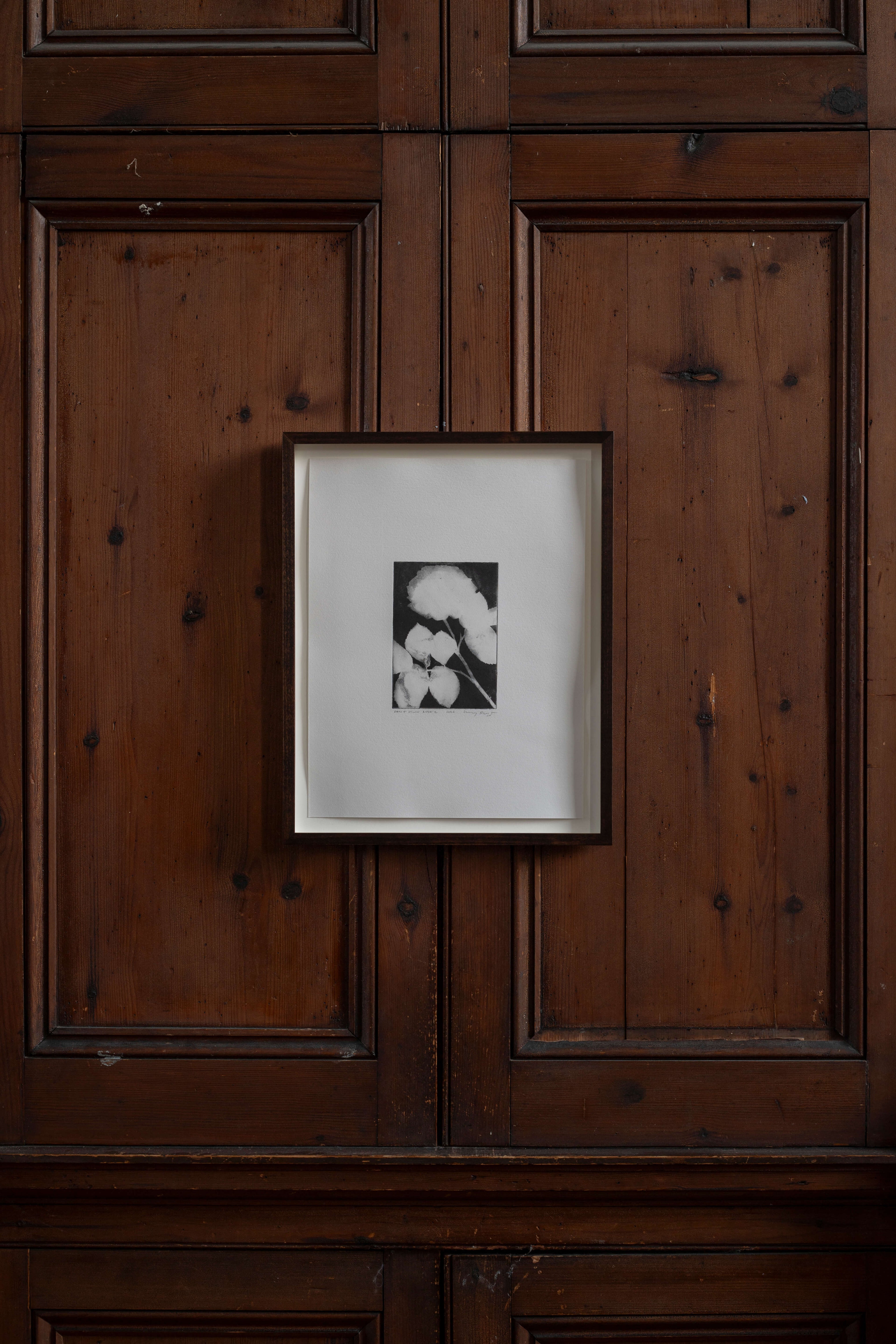 Contemporary botanical etching by UK artist Lucy Auge, inspired by Dan Pearson’s garden