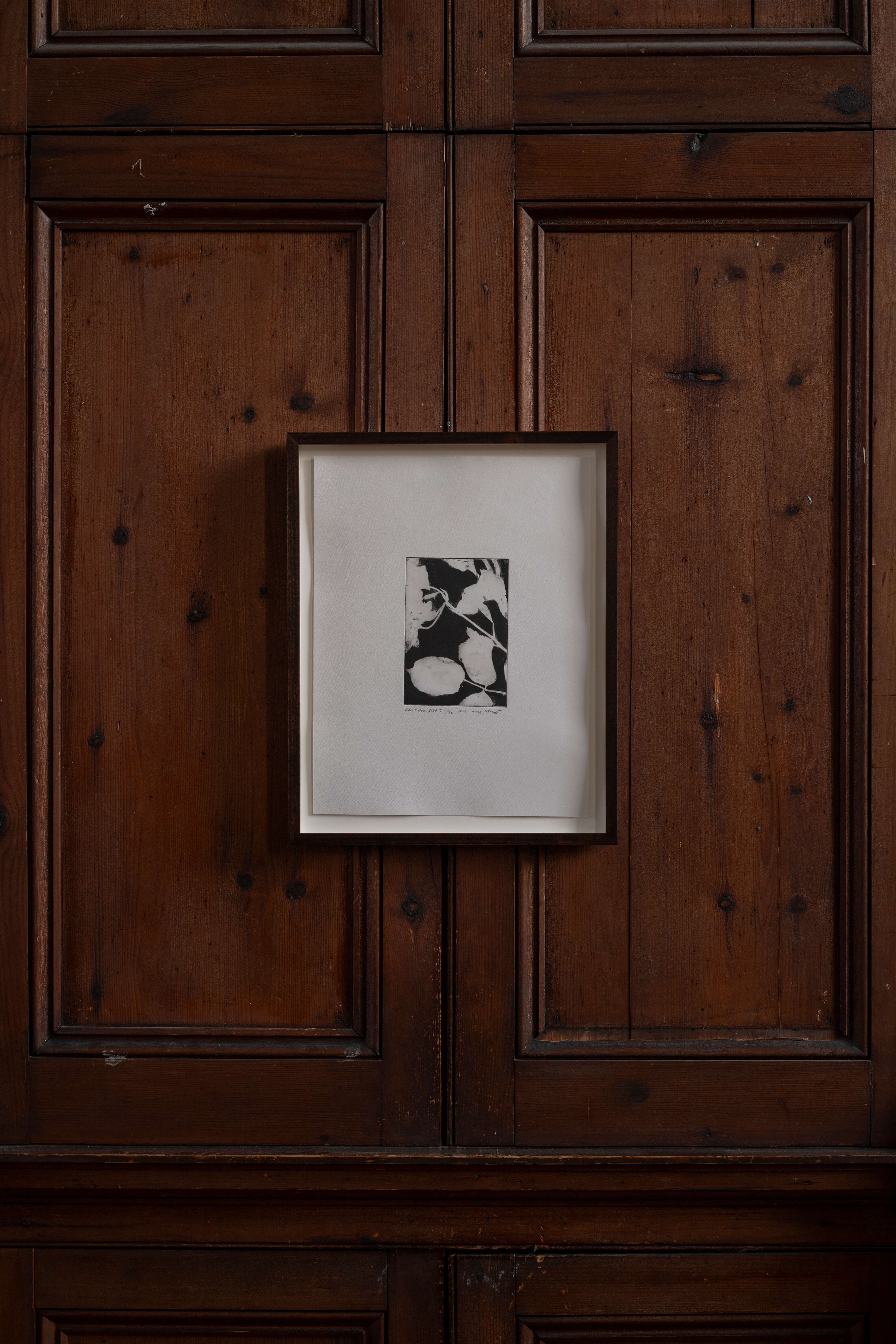 Contemporary botanical etching by UK artist Lucy Auge, inspired by Dan Pearson’s garden