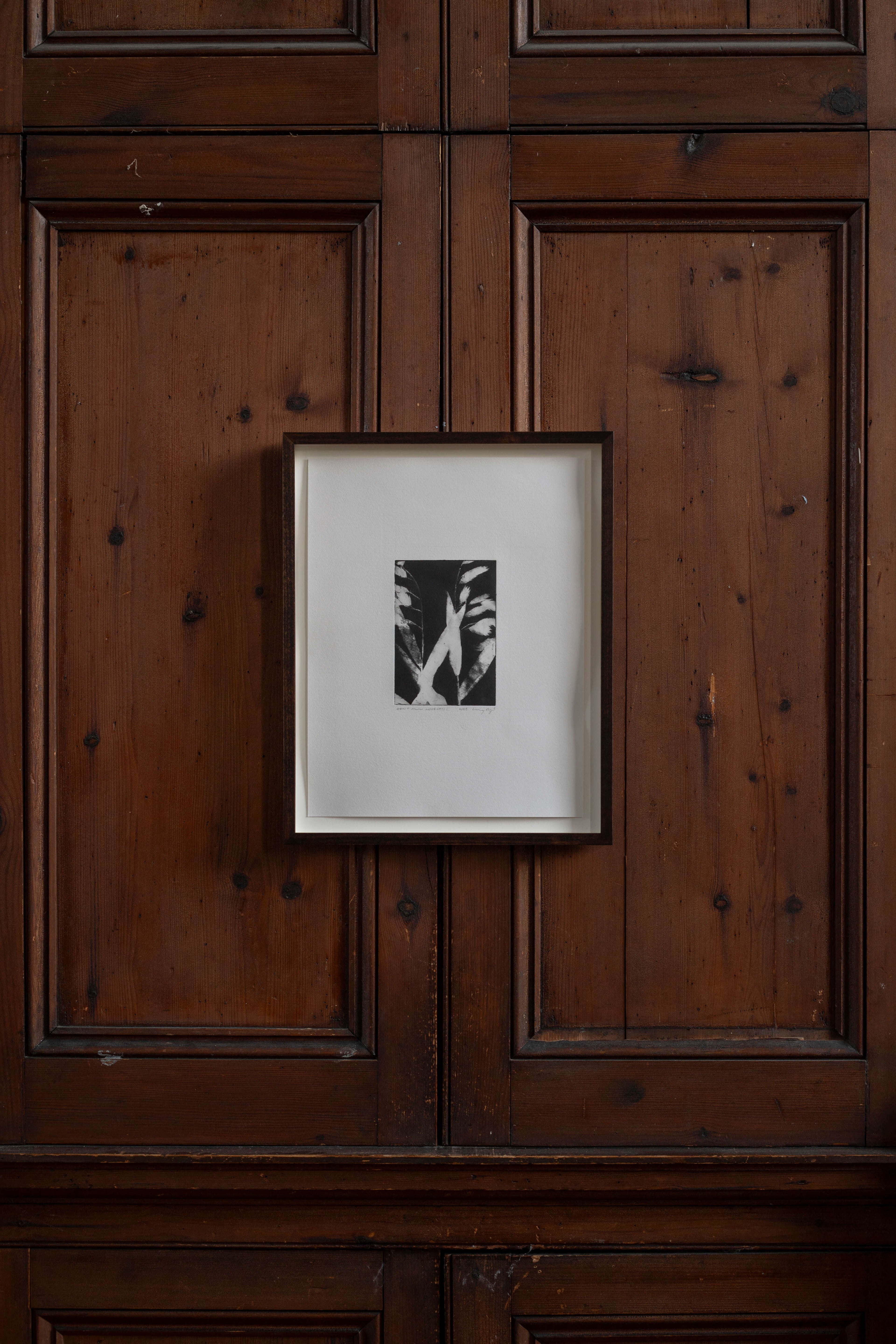 Contemporary botanical etching by UK artist Lucy Auge, inspired by Dan Pearson’s garden