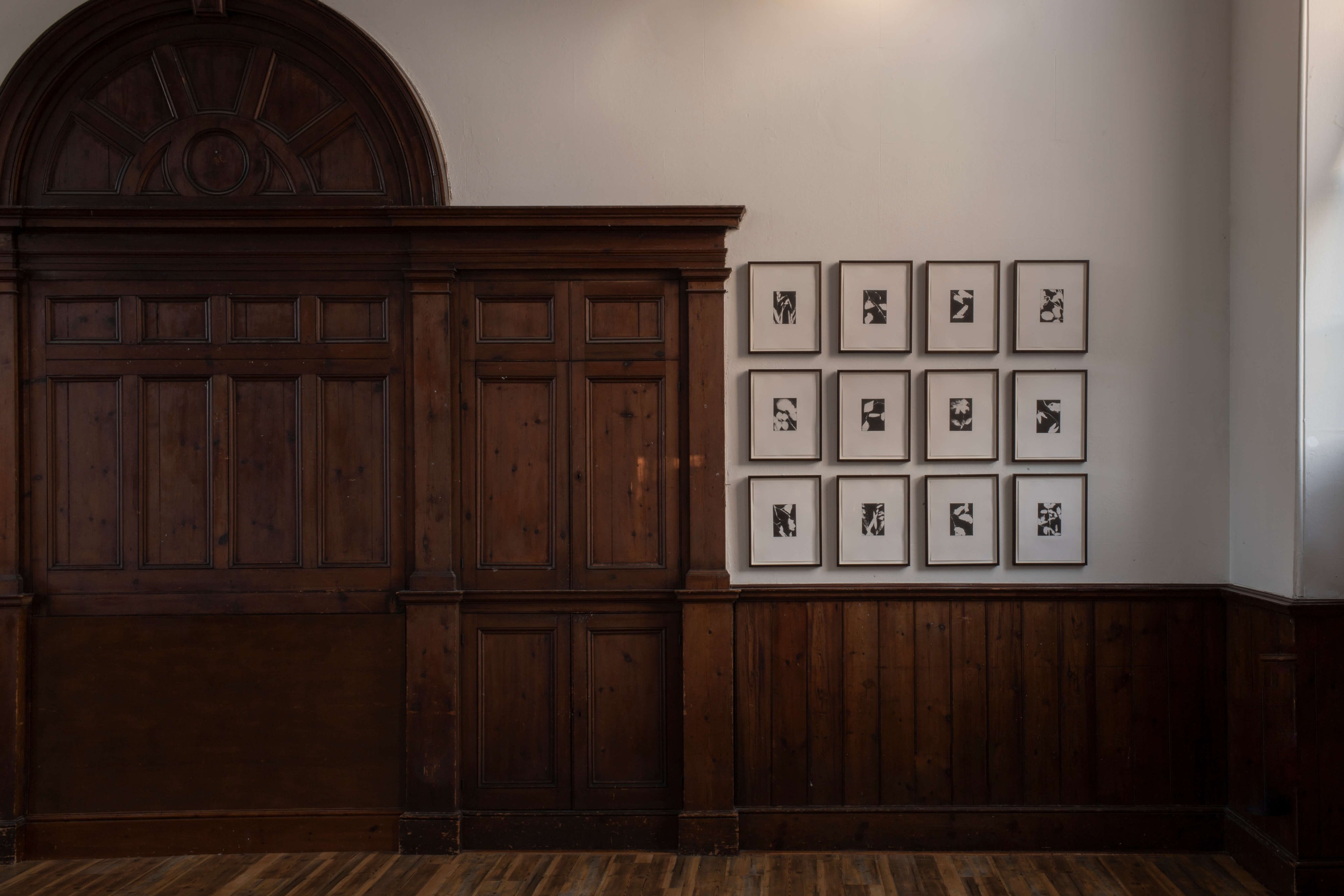 Contemporary nature artwork by Lucy Auge shown in calm interior reflecting natural light and atmosphere