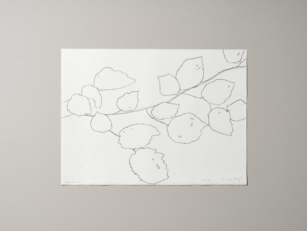 FIELD HAZEL 3