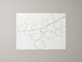 FIELD HAZEL 3