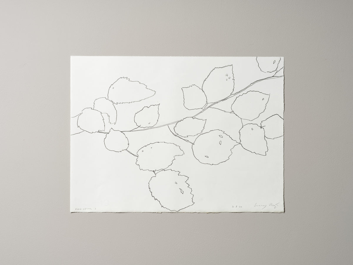 FIELD HAZEL 3