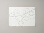FIELD HAZEL 3