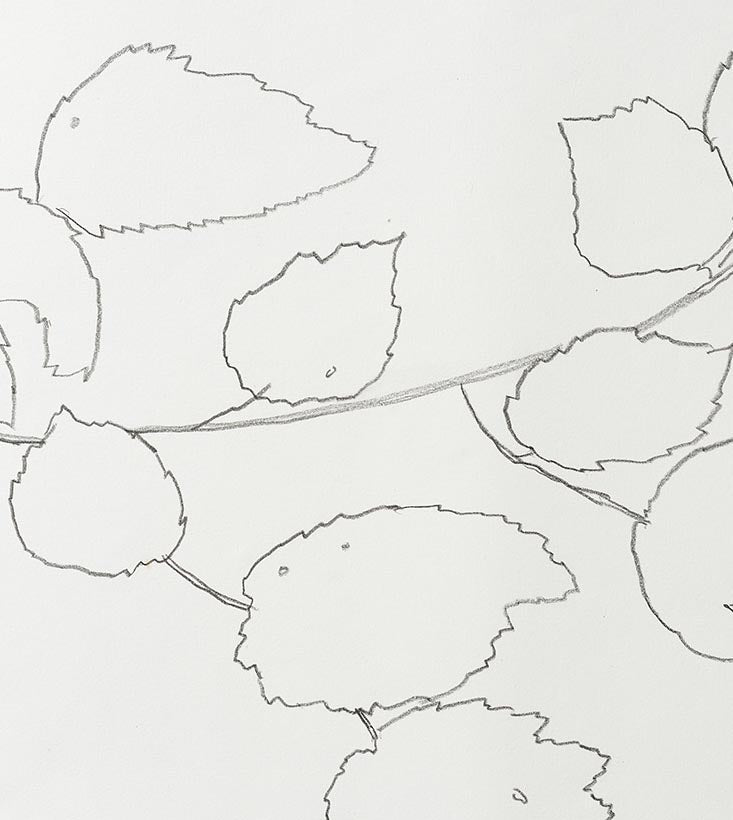 FIELD HAZEL 3