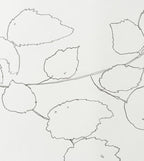 FIELD HAZEL 3