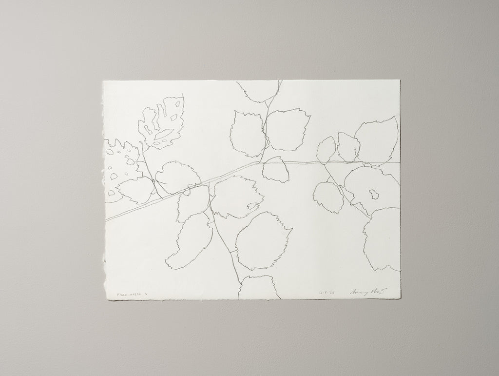 FIELD HAZEL 4