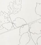 FIELD HAZEL 4