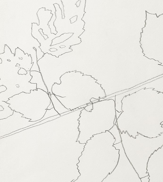 FIELD HAZEL 4
