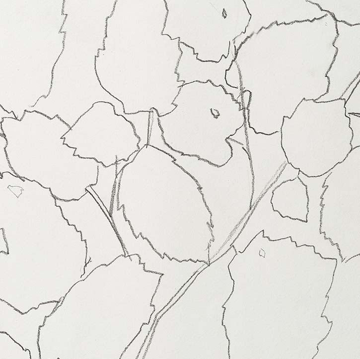 FIELD HAZEL 5
