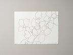 FIELD HAZEL 5