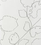 FIELD HAZEL 6