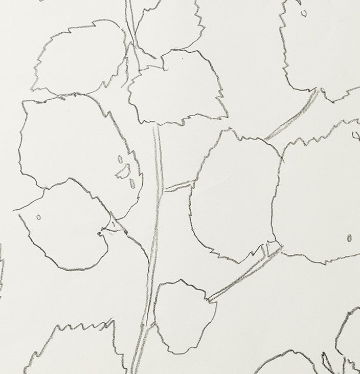 FIELD HAZEL 7