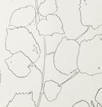 FIELD HAZEL 7