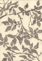 GARDEN ROSE - HIMALAYAN MUSK