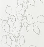 GARDEN ROSE 1