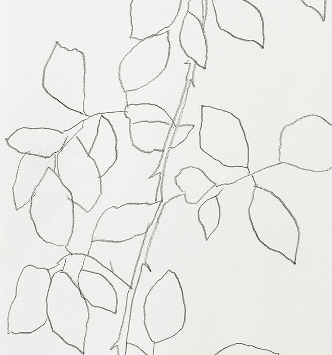 GARDEN ROSE 1