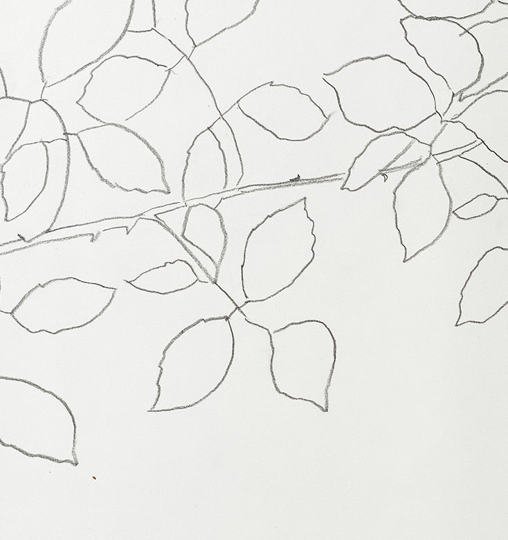 GARDEN ROSE 3
