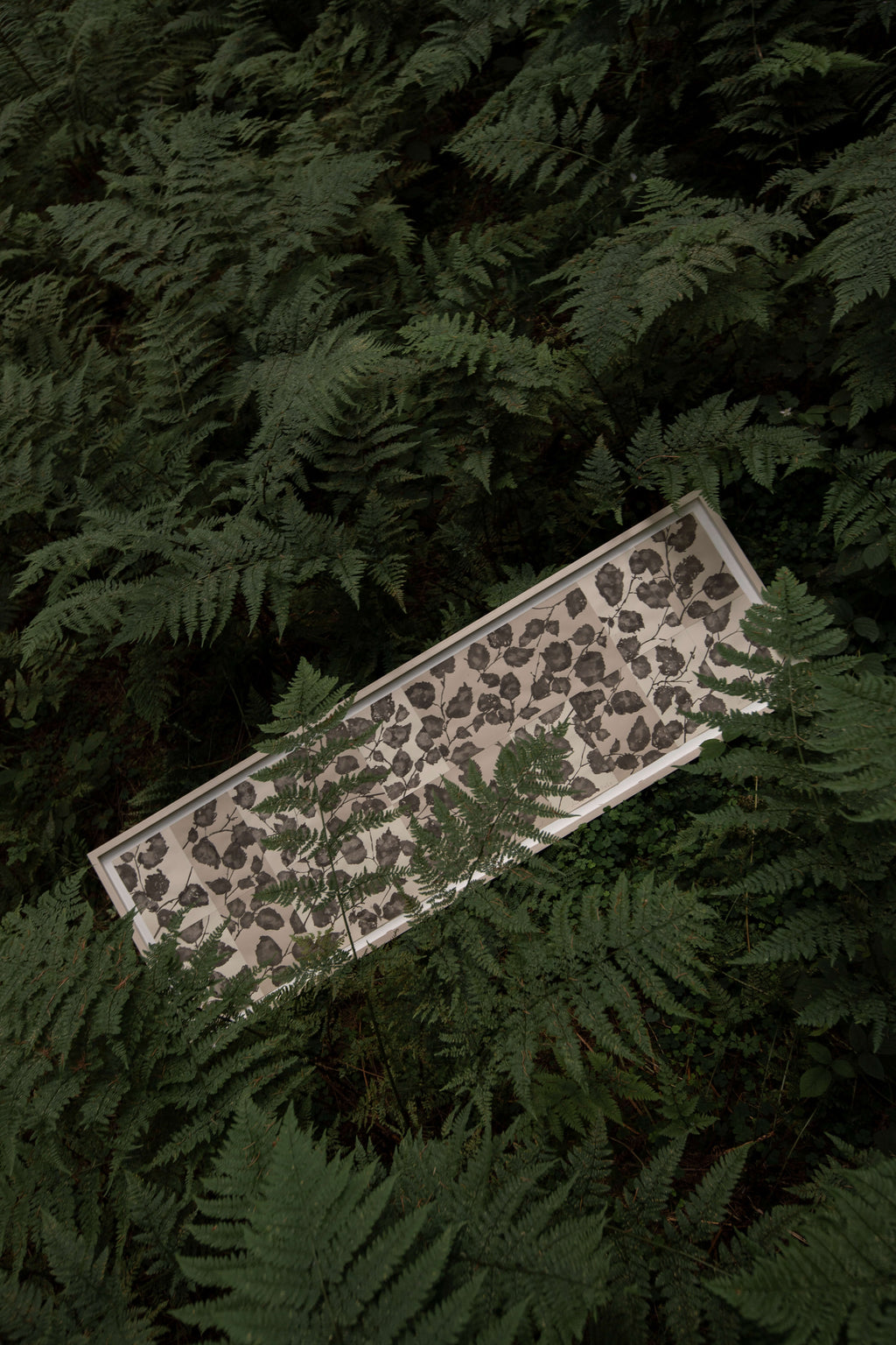 FORAGING IN THE HAZEL WOOD