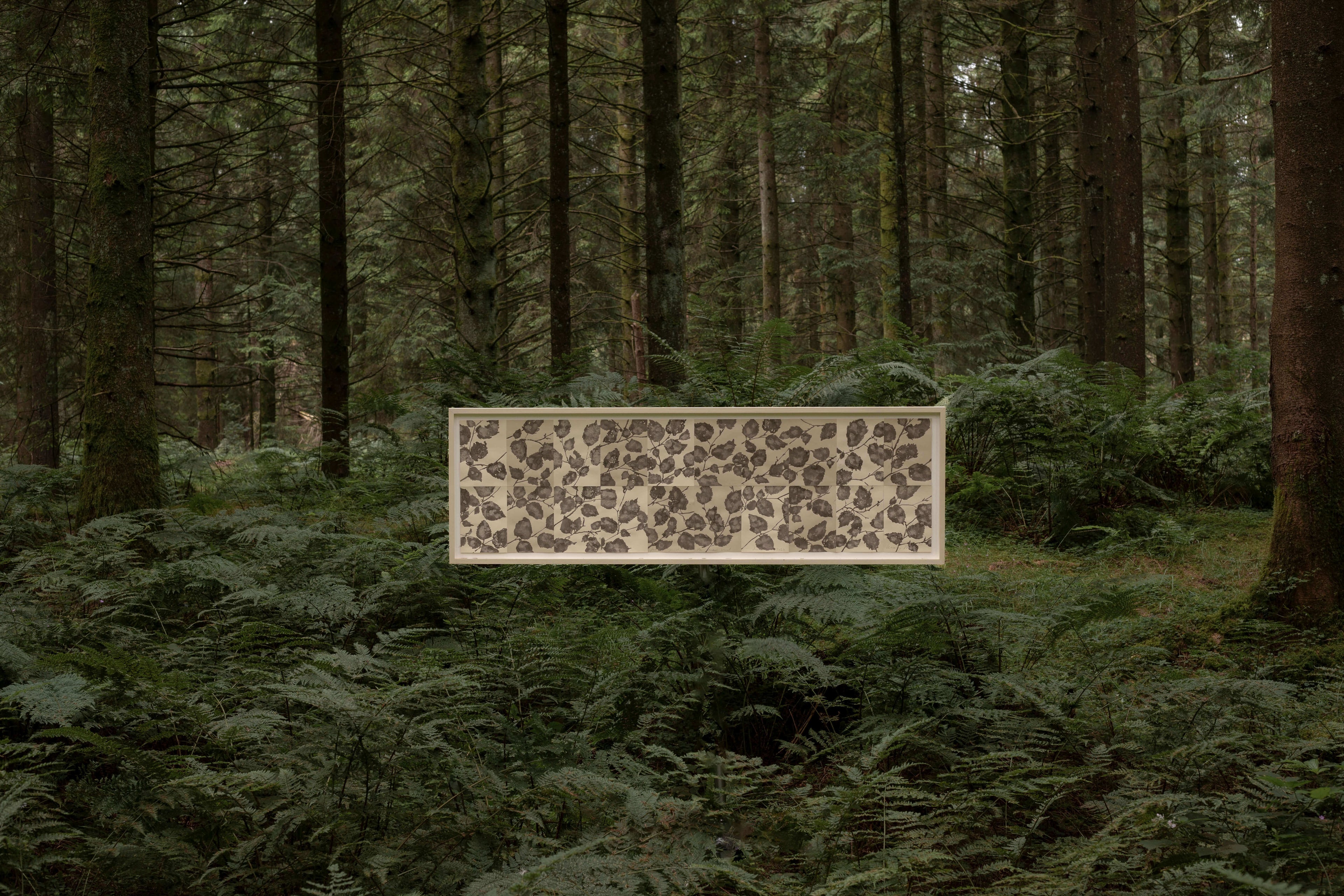 Series of contemporary nature artworks by Lucy Auge exploring repetition, variation and seasonal change, English scroll artwork