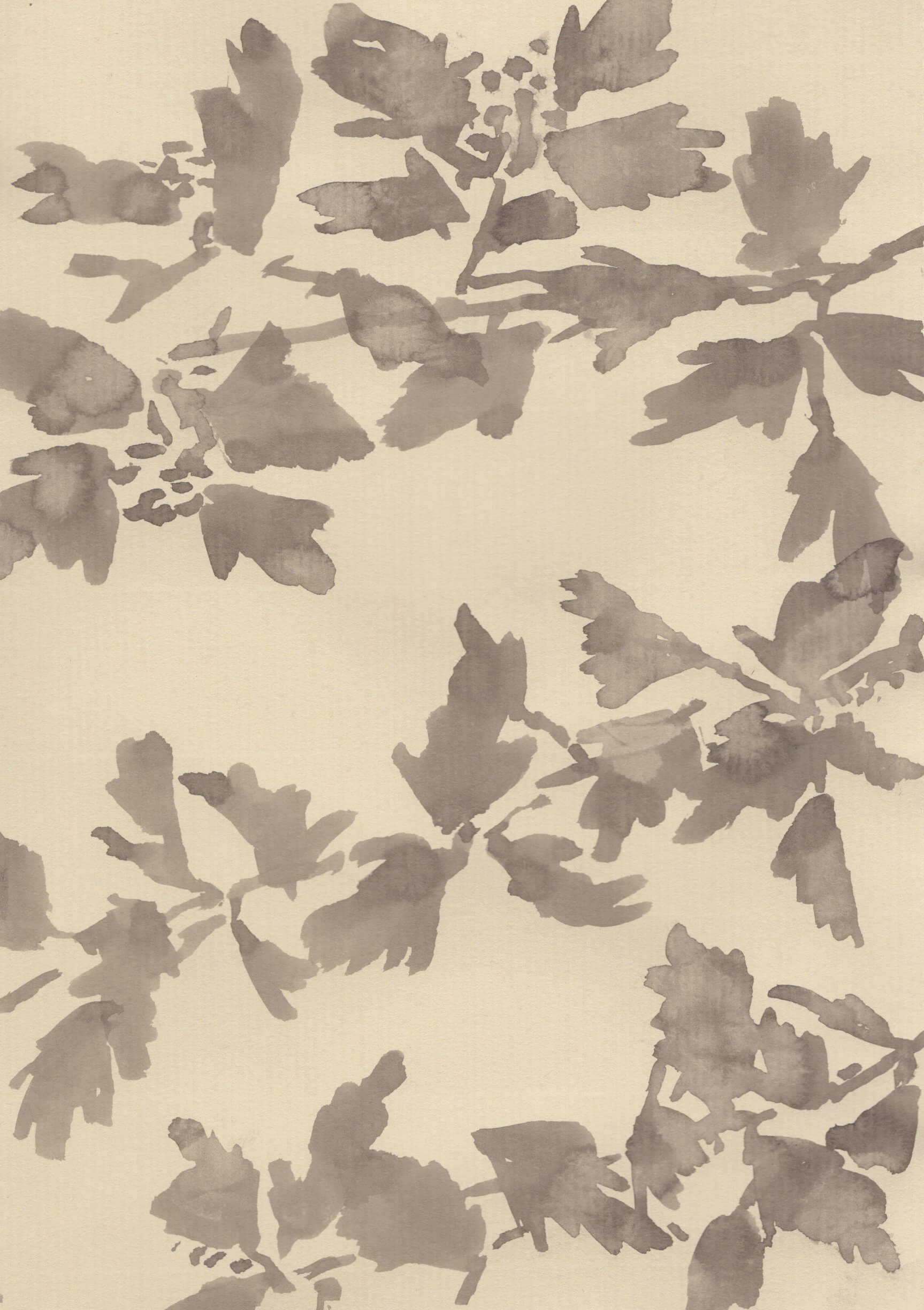 THE HEDGEROWS ARE WAKING UP
