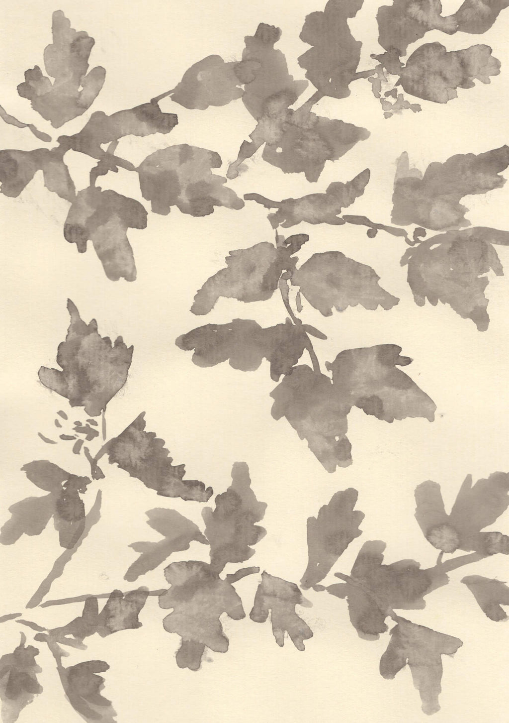 THE HEDGEROWS ARE WAKING UP