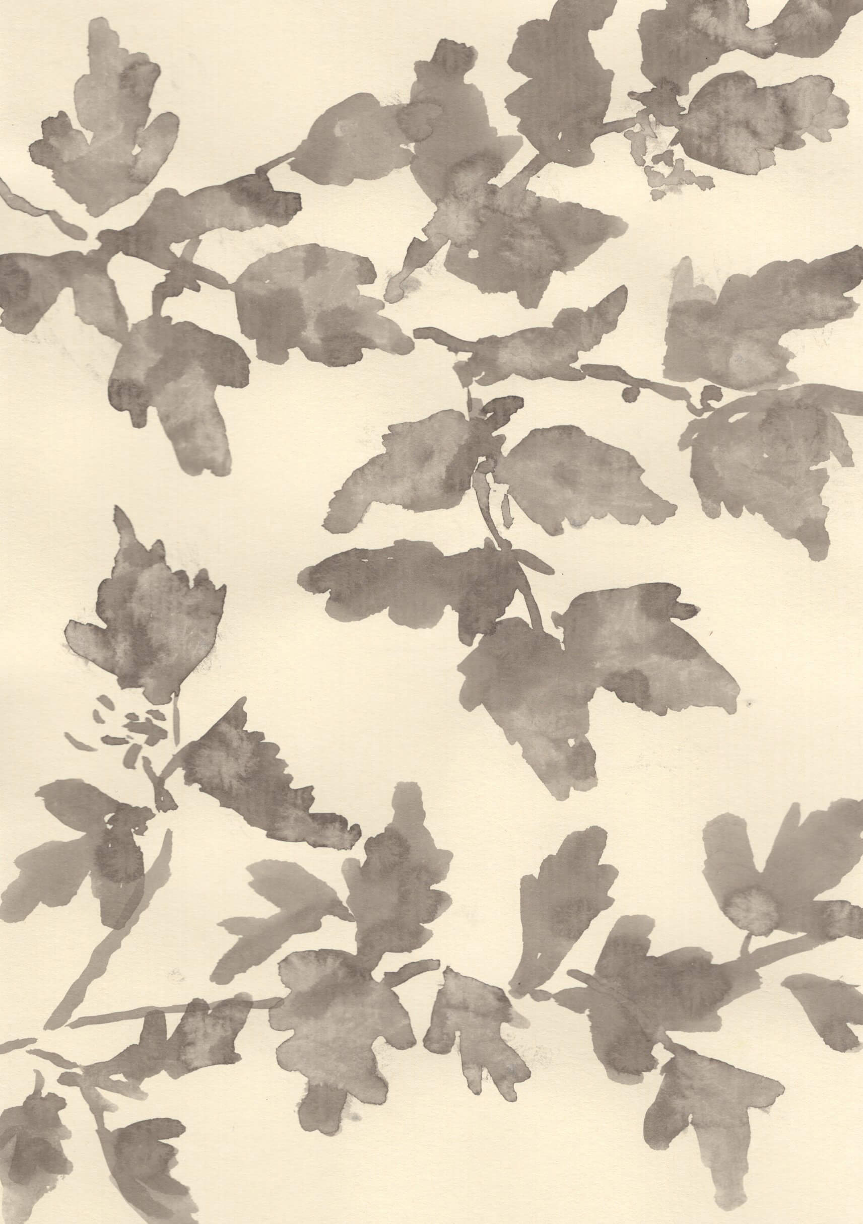 THE HEDGEROWS ARE WAKING UP