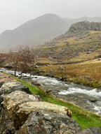 OAK FROM MOUNT SNOWDON