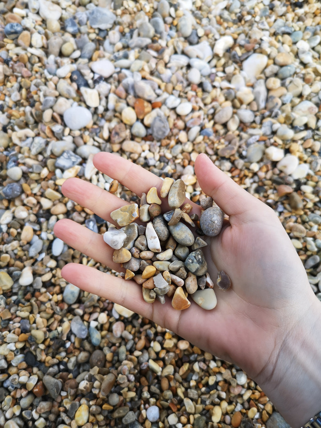 RINGSTEAD BAY SHINGLES