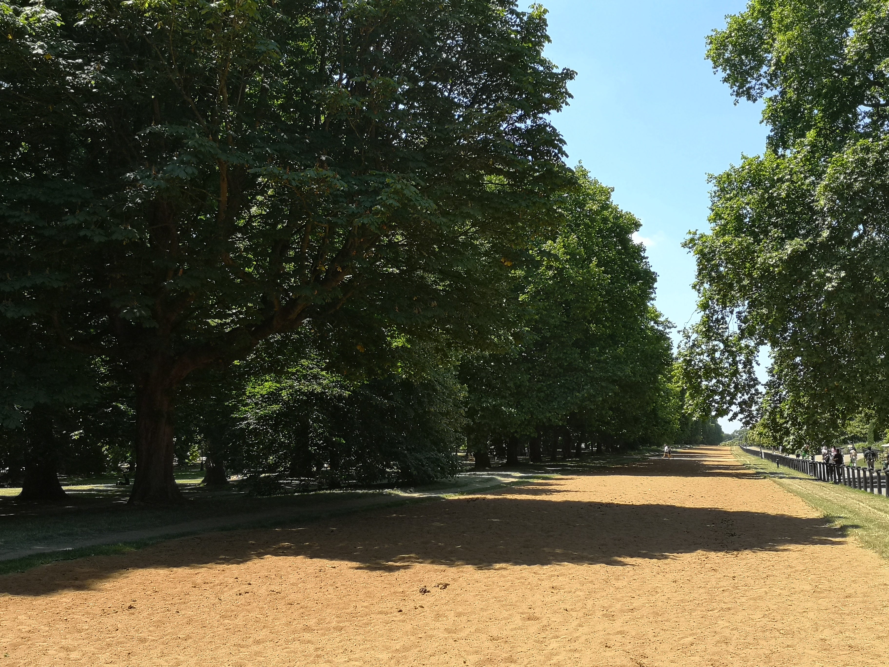 LIME SHADE IN HYDE PARK