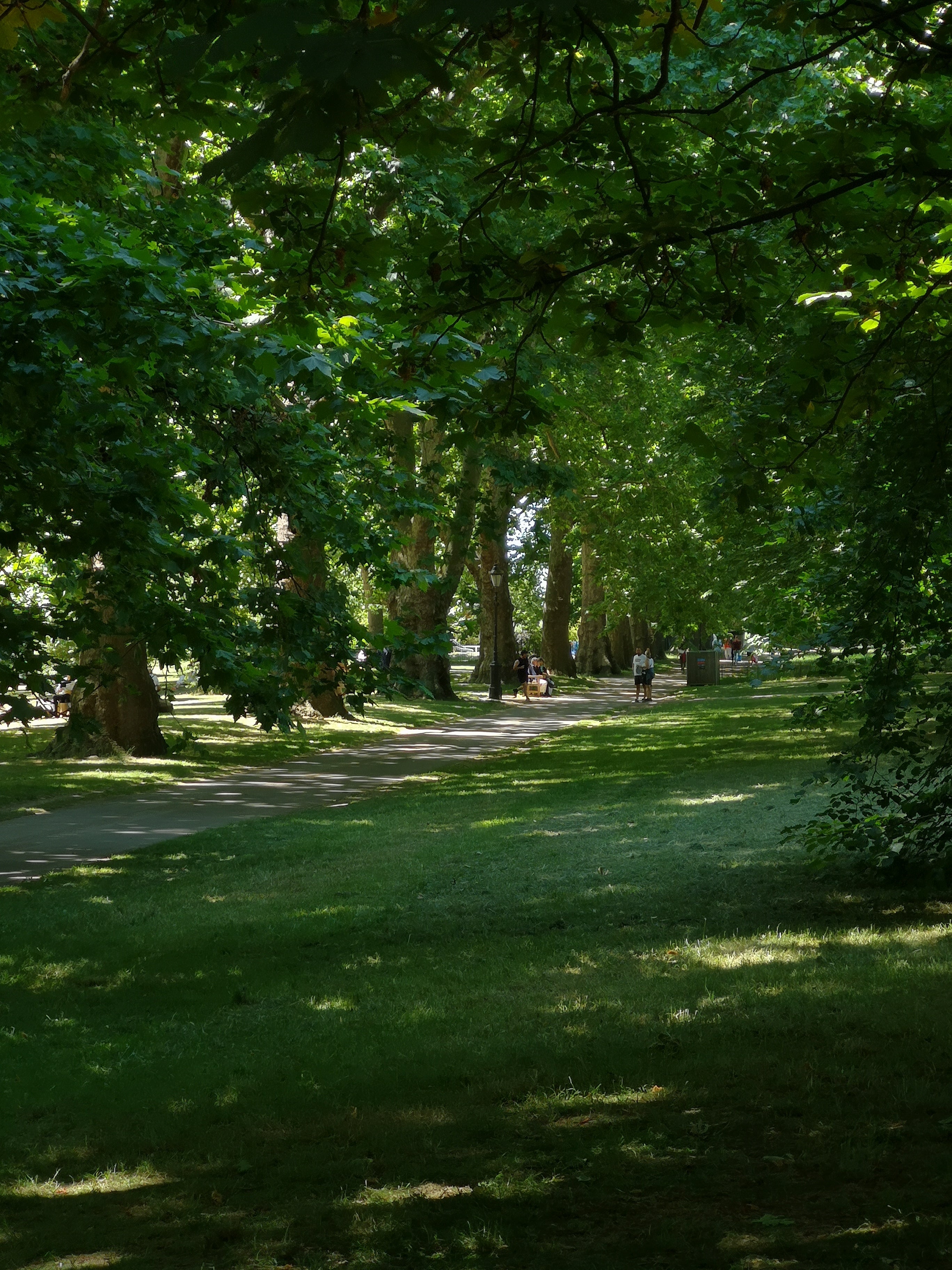 LIME SHADE IN HYDE PARK