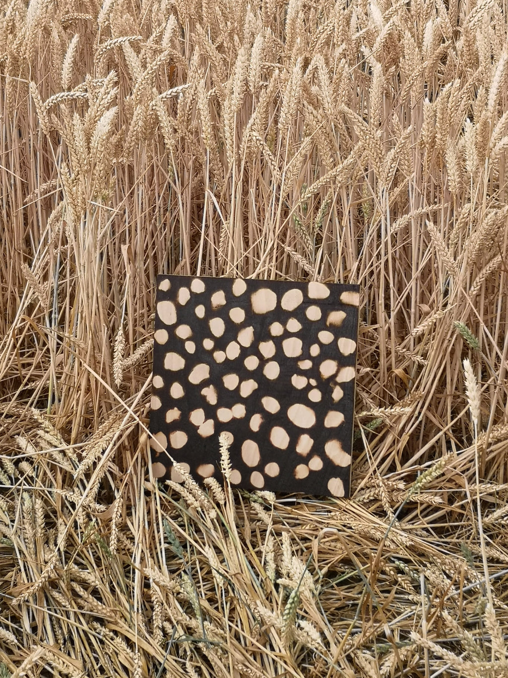 SHELL BEACH PANEL 2