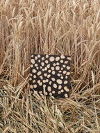 SHELL BEACH PANEL 2