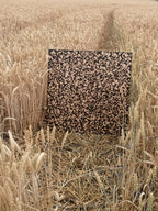 RINGSTEAD BAY SHINGLES